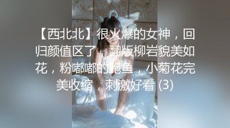 【西北北】很火爆的女神，回归颜值区了，翻版柳岩貌美如花，粉嘟嘟的鲍鱼，小菊花完美收缩，刺激好看 (3)