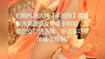 约炮PUA大神【丰田哥】露脸玩肏高颜值女神级小姐姐，车震足交口活吞精，听话乖巧非常骚母狗 (4)