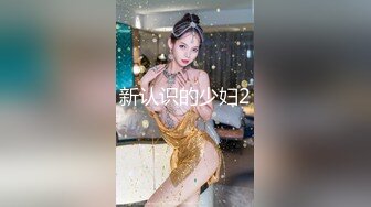 新认识的少妇2