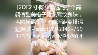 [2DF2]小陈头星选约了个高颜值甜美格子裙花臂纹身妹，舌吻摸逼上位骑乘近距离摸逼猛操 2 - soav(1695342-7593152)_evMerge [MP4/90.4MB][BT种子