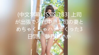 (中文字幕) [SSIS-183] 上司が出張で不在中、上司の妻とめちゃくちゃハメまくった3日間。 夢乃あいか