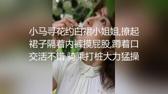 小马寻花约白裙小姐姐,撩起裙子隔着内裤摸屁股,蹲着口交活不错,骑乘打桩大力猛操