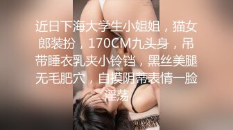 近日下海大学生小姐姐，猫女郎装扮，170CM九头身，吊带睡衣乳夹小铃铛，黑丝美腿无毛肥穴，自摸阴蒂表情一脸淫荡