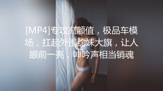 [MP4]专攻高颜值，极品车模场，扛起外围约妹大旗，让人眼前一亮，呻吟声相当销魂