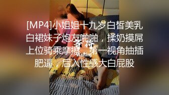 [MP4]小姐姐十九岁白皙美乳白裙妹子炮友啪啪，揉奶摸屌上位骑乘摩擦，第一视角抽插肥逼，后入性感大白屁股