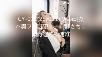 CY-011(2cy011)[Waap]女ハ男ヲ目デ犯ス。前野さちこ天野理穂松浦唯