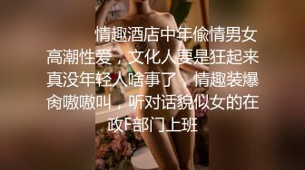 ⚫️⚫️情趣酒店中年偸情男女高潮性爱，文化人要是狂起来真没年轻人啥事了，情趣装爆肏嗷嗷叫，听对话貌似女的在政F部门上班