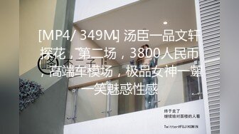 [MP4/ 349M] 汤臣一品文轩探花，第二场，3800人民币，高端车模场，极品女神一颦一笑魅惑性感