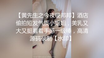 【黄先生之今夜硬邦邦】酒店偷拍短发气质小姐姐，美乳又大又挺看着手感一级棒，高清源码录制【水印】