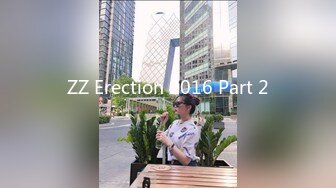 ZZ Erection 2016 Part 2