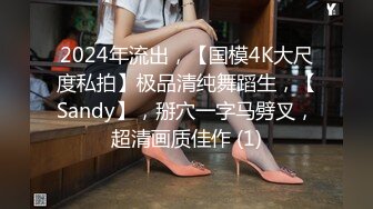 2024年流出，【国模4K大尺度私拍】极品清纯舞蹈生，【Sandy】，掰穴一字马劈叉，超清画质佳作 (1)