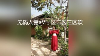 无码人妻aV一区二区三区软件