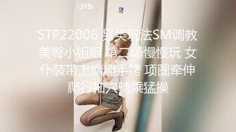 STP22006 另类玩法SM调教美臀小姐姐 第二场慢慢玩 女仆装带上情趣手铐 项圈牵伸爬行扣穴骑乘猛操