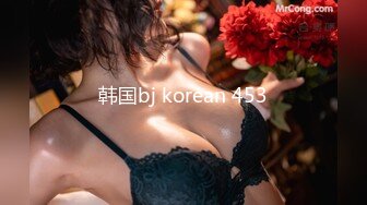 韩国bj korean 453