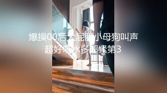 爆操00后大屁股小母狗叫声超好听水多超紧第3