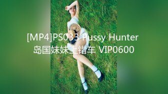 [MP4]PS033 Pussy Hunter 岛国妹妹上错车 VIP0600