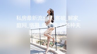 私房最新流出黑_客破_解家_庭网_络摄_像头偷_拍各种夫妻激情啪啪（6）