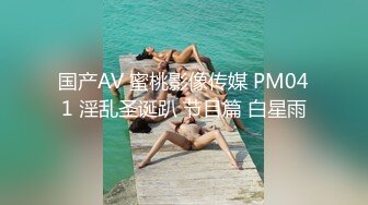 国产AV 蜜桃影像传媒 PM041 淫乱圣诞趴 节目篇 白星雨