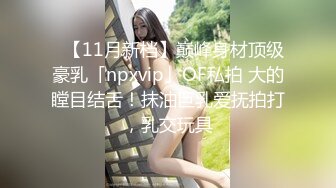 ✨【11月新档】巅峰身材顶级豪乳「npxvip」OF私拍 大的瞠目结舌！抹油巨乳爱抚拍打，乳交玩具