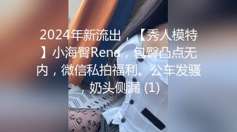 2024年新流出，【秀人模特】小海臀Rena，包臀凸点无内，微信私拍福利。公车发骚，奶头侧漏 (1)